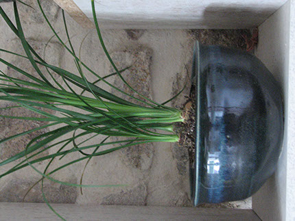 Au grès des saisons | pots Jardin Au grès des saisons  pots Jardin