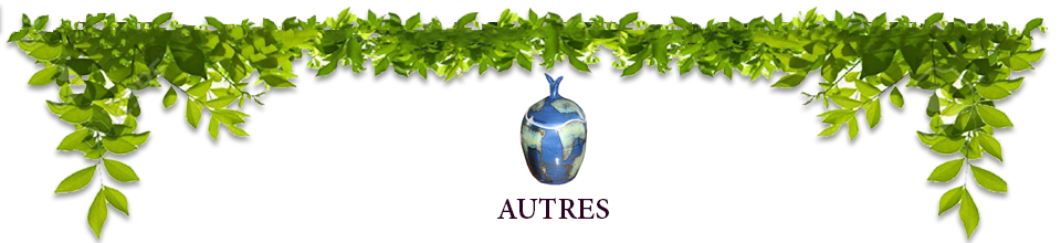 Au grès des saisons | Décoration autres Au grès des saisons  Décoration autre créations