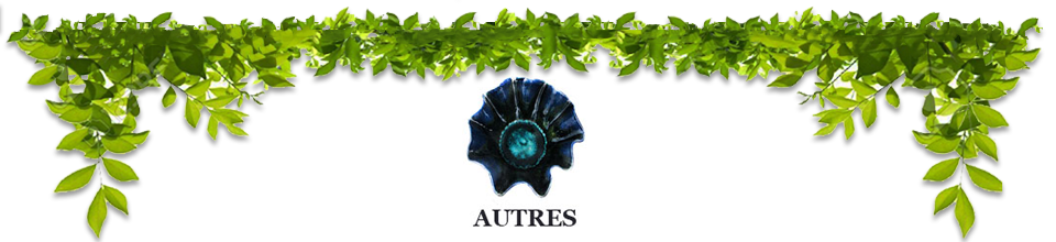 Au grès des saisons | Autres Vaisselle au grès des saisons autres vaisselle création