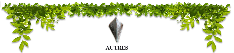 Au grès des saisons | Autres Jardin Au grès des saisons créations Autres Jardin